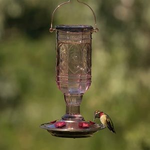 Amethyst Jewel Hummingbird Feeder